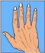 Astro Palmistry, Free Astro Palmistry