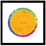 astrology rashi chart south indian style Houses in vedic astrology ...
